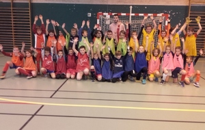 Festi-Futsal janvier 2018