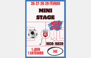 Mini stage de février