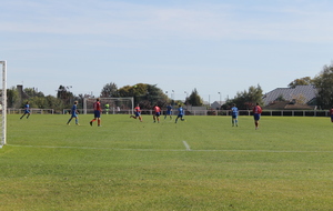 5bb8875cb41fe_IMG0121.JPG