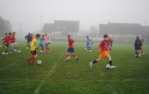 671a57f22b89c_asvministageu11u1323102024matin1.JPG