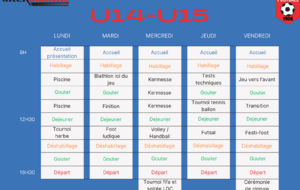 67ebad99445bb_GreyMonotoneSimpleVerticalWeeklyPlanner37.png