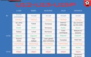 67ebad9a798dd_GreyMonotoneSimpleVerticalWeeklyPlanner36.png