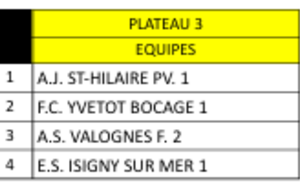 ASV U11B à Valognes