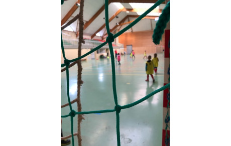 FESTI-FUTSAL
